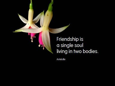 quote