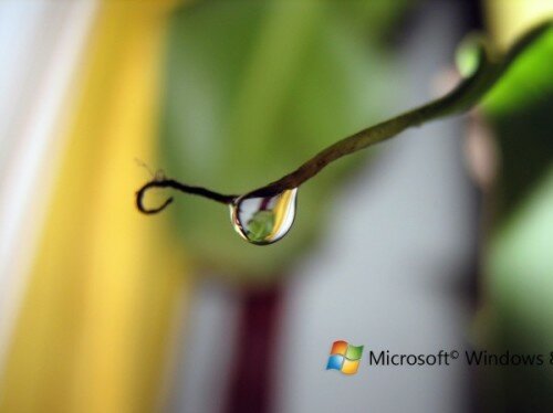 Windows_8_wallpaper_6