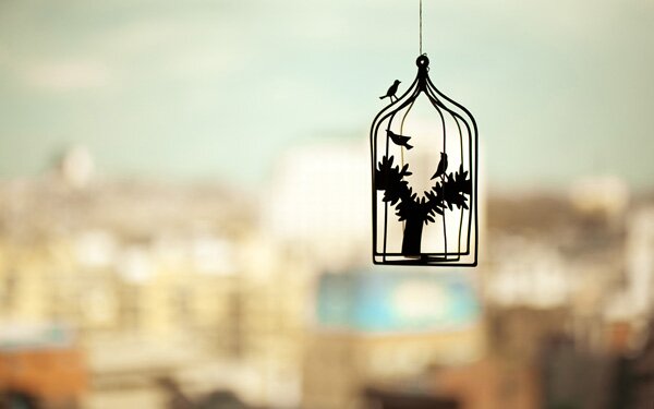 artistic photography