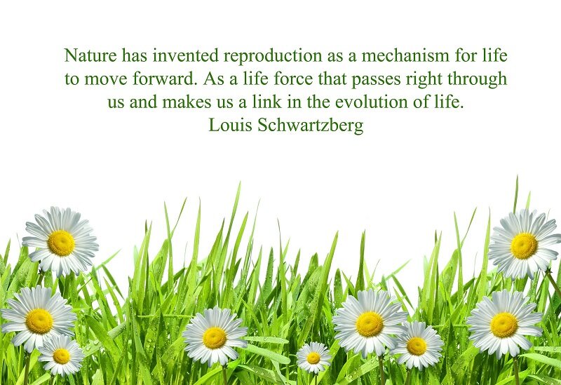 quotes about life