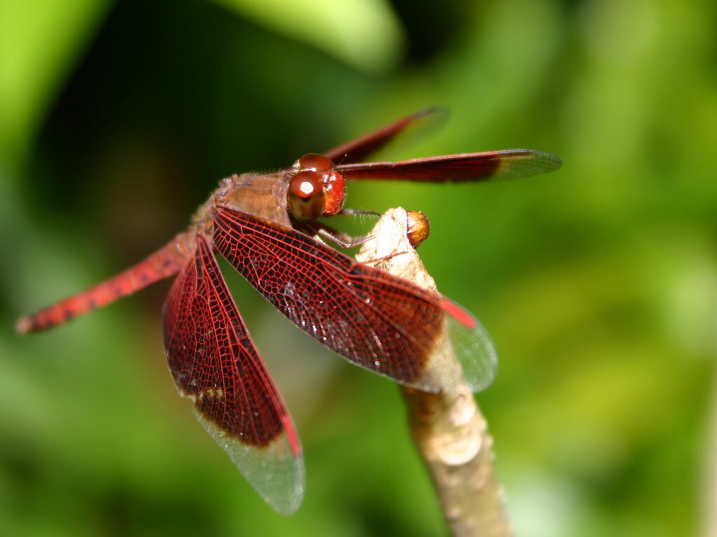 artistic images photography