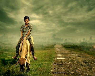 artistic photography