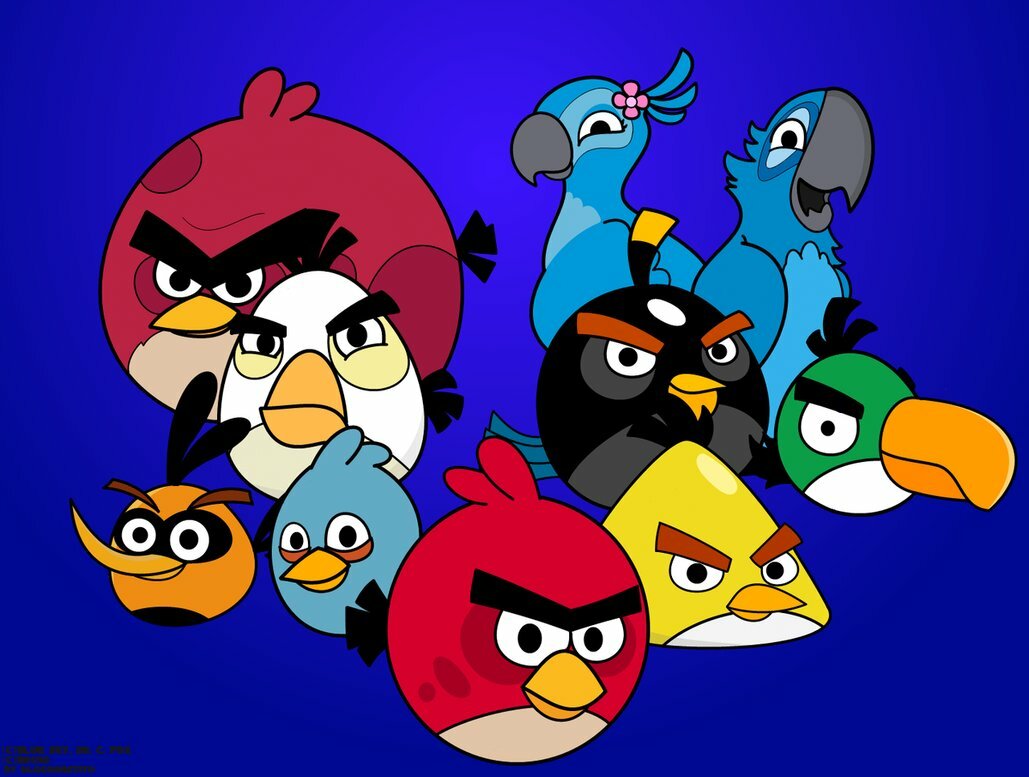 angry birds