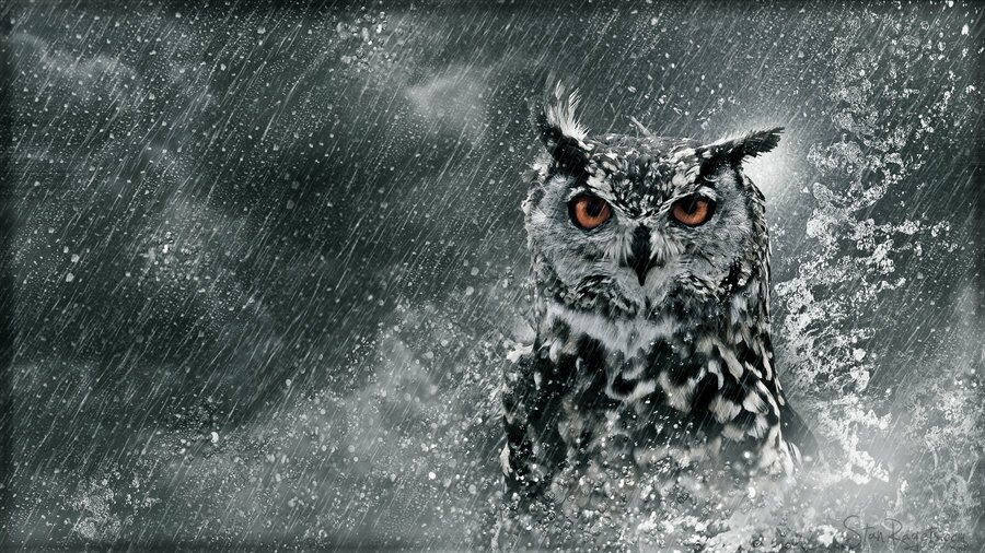 best wallpapers
