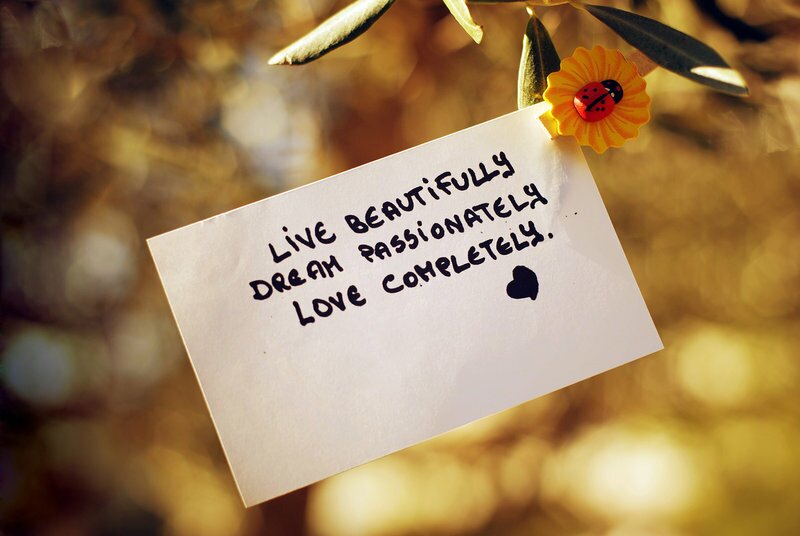love