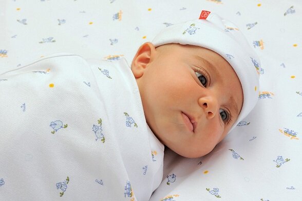 baby