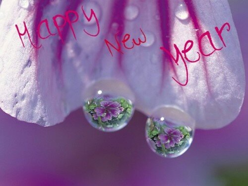 happy new year wallpapers 2014