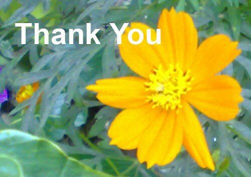 thank you poems
