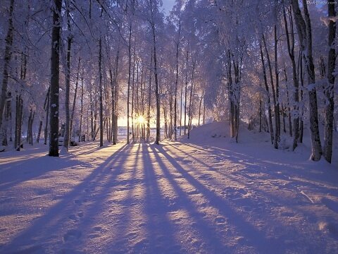 winter wallpapers hd