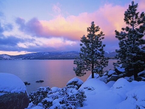 winter