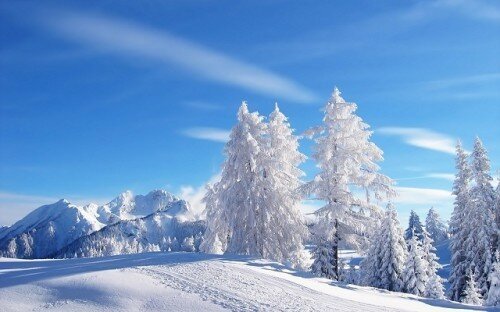 best winter wallpapers