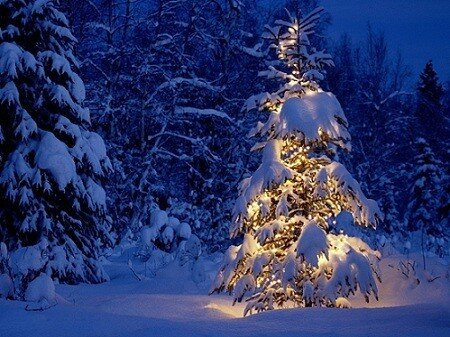 winter wallpapers hd