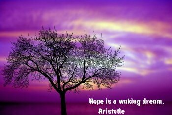 dream quotes