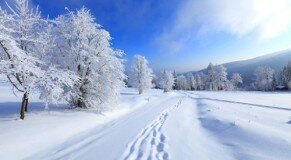 road-winter
