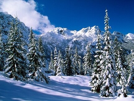winter wallpaper
