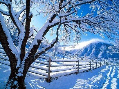 winter wallpaper