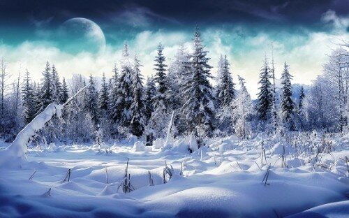 winter