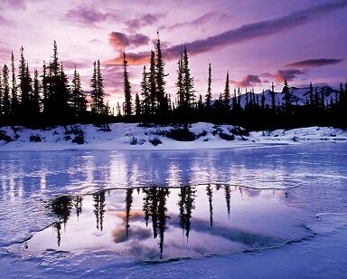 winter wallpapers
