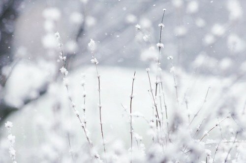 winter wallpapers
