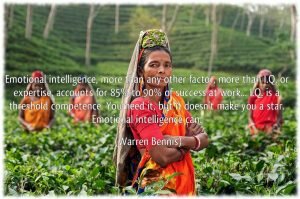 EQ versus IQ intelligence